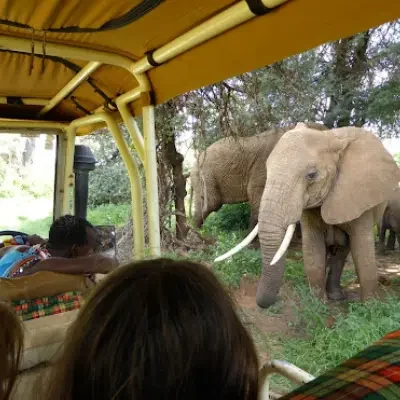 1c6d413c-ab4e-4a60-a48c-7640ed30a9de