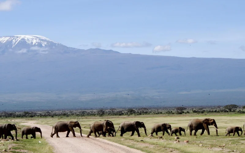 1e47bd5c-23b6-4f2a-a872-db881c9e941a