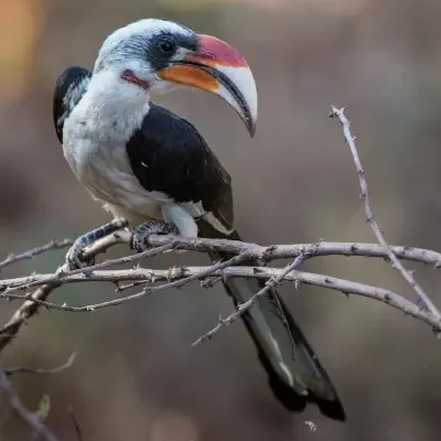 31d0db36-cdb4-4576-b71e-fe370c04858e