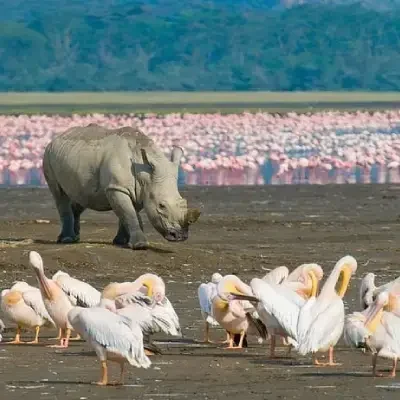 33aab5cb-a1e7-4df6-b0c3-e6db23c863ca