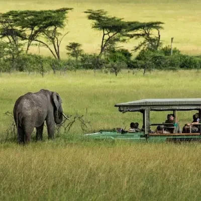 35b308ec-32a1-4d31-b53a-311b71487ae2 35b308ec-32a1-4d31-b53a-311b71487ae2