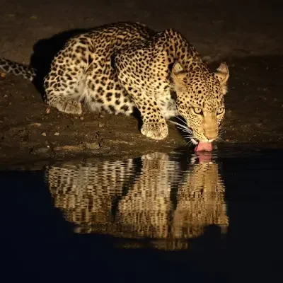 36a97a44-2824-4ade-abe0-f4f3690dbf01