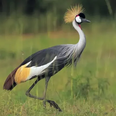 482fd108-3a31-4bb3-a5af-8e2004217bef