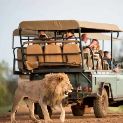 4bfd5ca6-3680-49de-a0c8-e59289cc5565