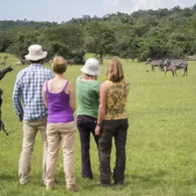 6bb434ec-9c0c-4a24-8e56-3b44b69edca9