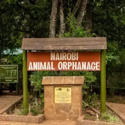 6e50c3bd-065a-4ad6-bc3b-b54e3eabc4f9