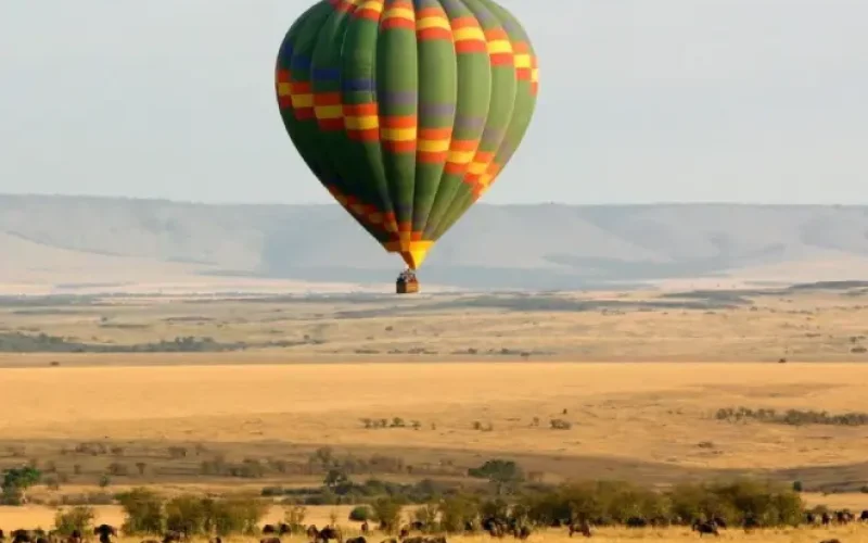 865d6411-e86a-4381-98d4-ded8a86ebfef