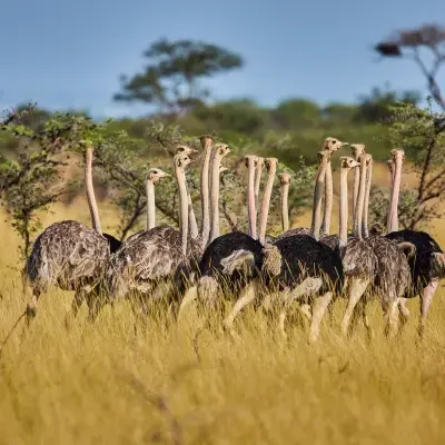 89323857-0f8c-4fca-a9e5-534f1cc51a5b