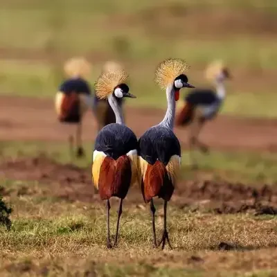 8da07740-5bc6-40c6-b818-679013425b71 8da07740-5bc6-40c6-b818-679013425b71