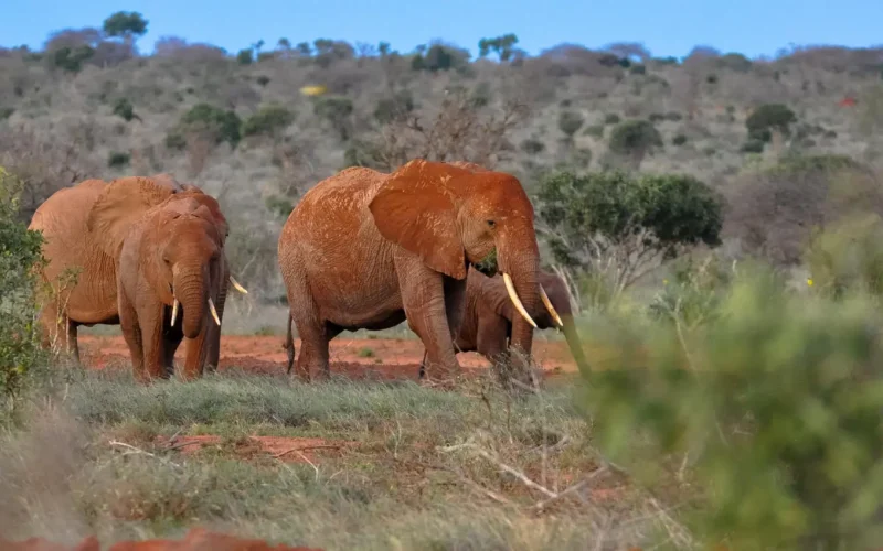 9389c9e9-60b3-4887-b789-a3820936c205 (1)