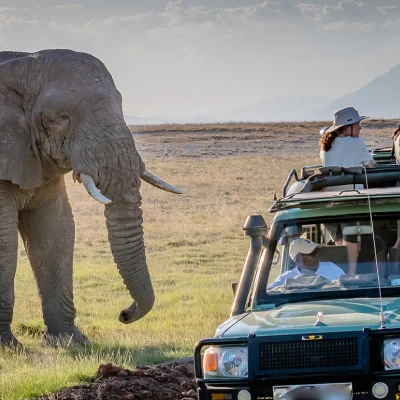 9ff3fdec-3480-4b19-85f1-361afa90d0df