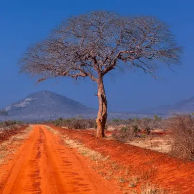 a14d3bb1-bed4-4dd9-a675-db466541d5be