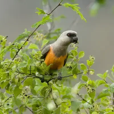 a38cedc0-fc91-4bdc-95bb-7b08b3e3e779