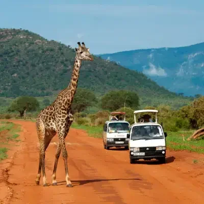 bdc6a2c0-6a31-4ddd-930f-cc71018ef96a