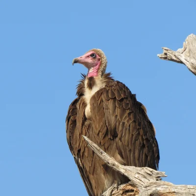 c12aac38-d5a3-40b4-beaf-b9fd04a1fdd0