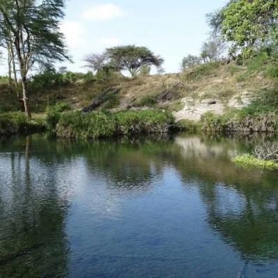 c5114a6c-ffcf-4175-85f0-12cd12a54dfa