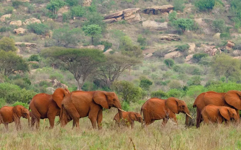 cbd018ba-13d6-4b6d-a43c-b8ca5e790d62