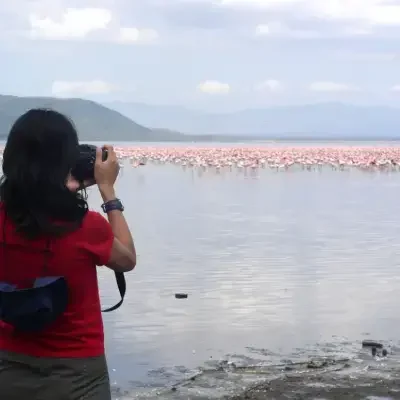 d087bc92-2230-483a-b7e5-348f0b592468