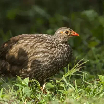 d52dea30-643c-4ed6-925b-d065784b4654