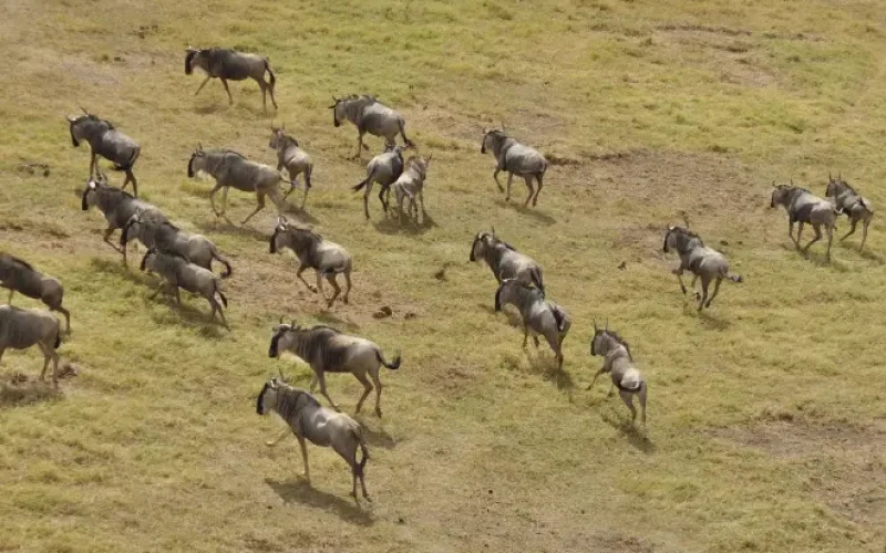 e71c0589-93f2-498d-a150-c5432fe378b3