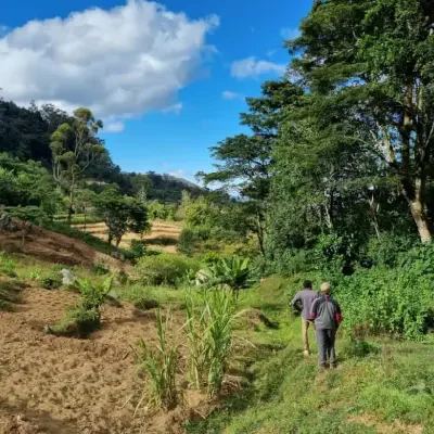 efc67762-1571-4068-b6cd-bd4eb5941487