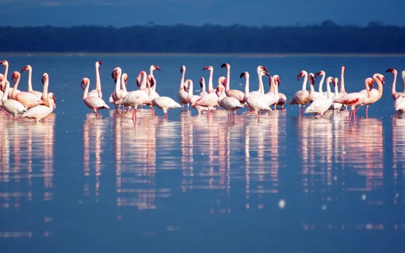 f05d62e2-bbac-41d5-9151-c91aa2dd4a11 (1)