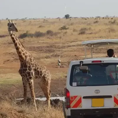 fcab4973-1847-4f08-aaf7-4ebd7895f5d7