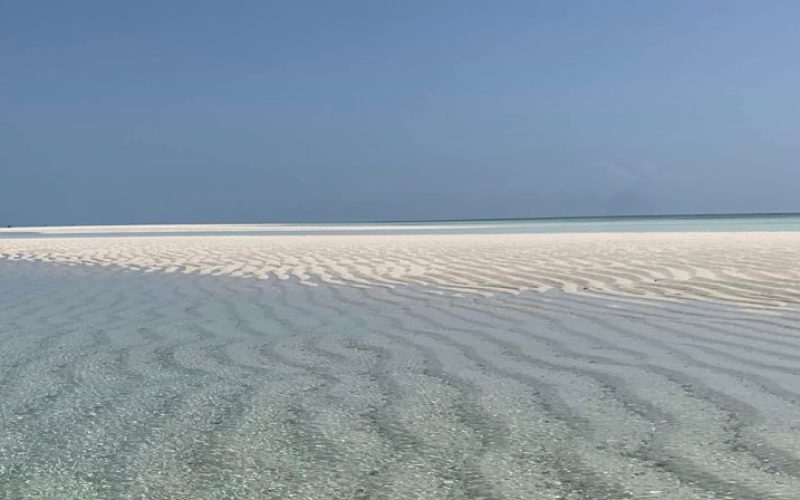 Safari blu sardegna due